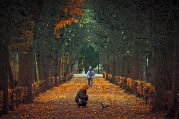 In the park