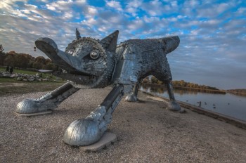 The fox