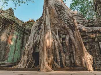 SiemReap-106
