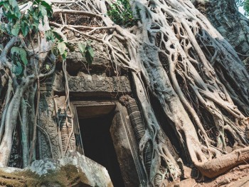 SiemReap-108