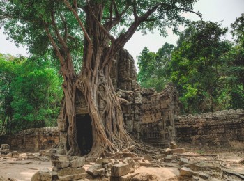 SiemReap-35