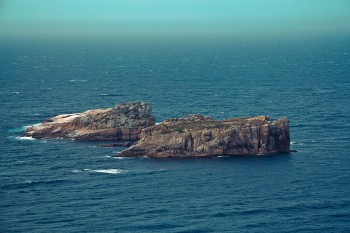 Tassie-3
