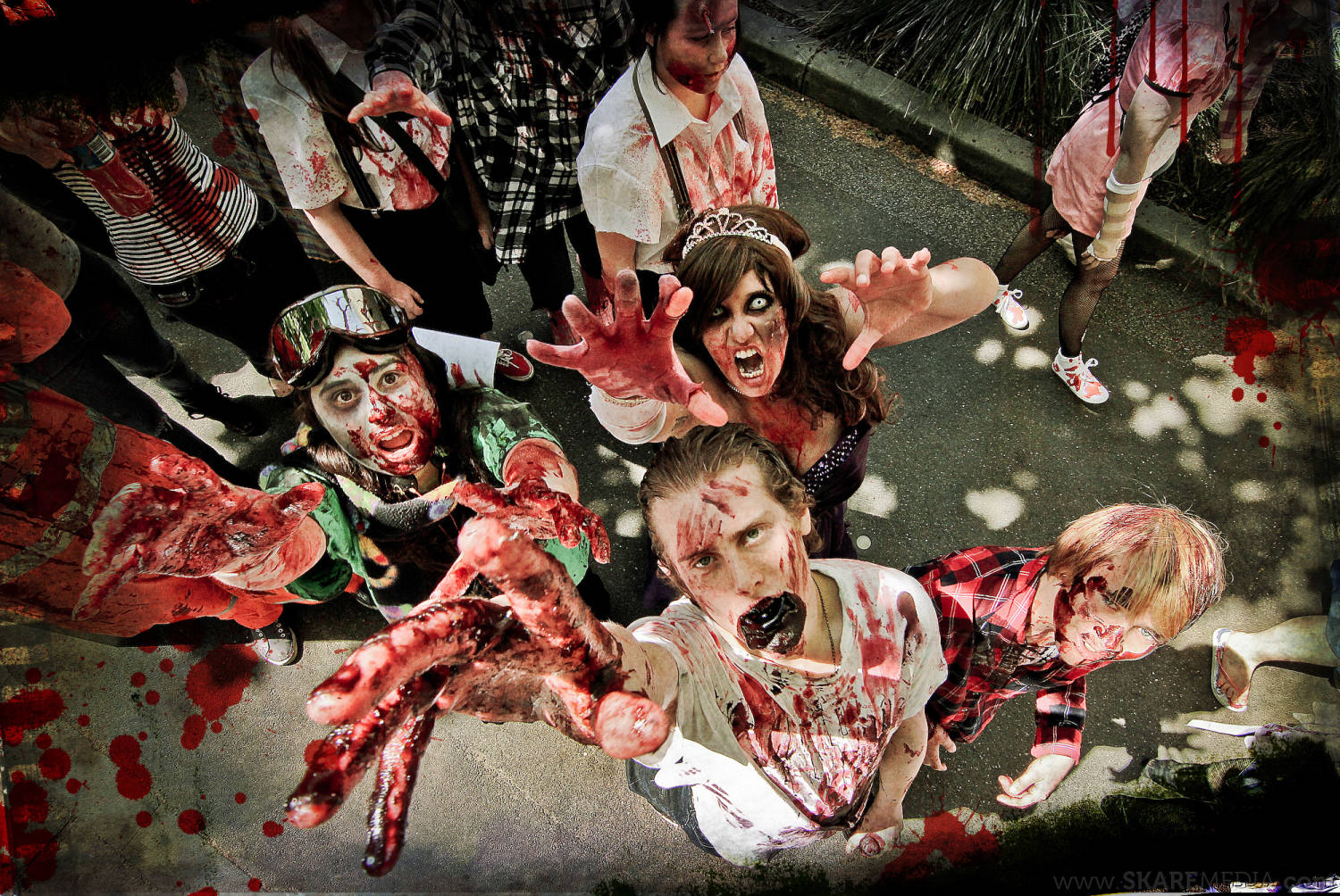 _Zombie-Shuffle-Sharpened-16