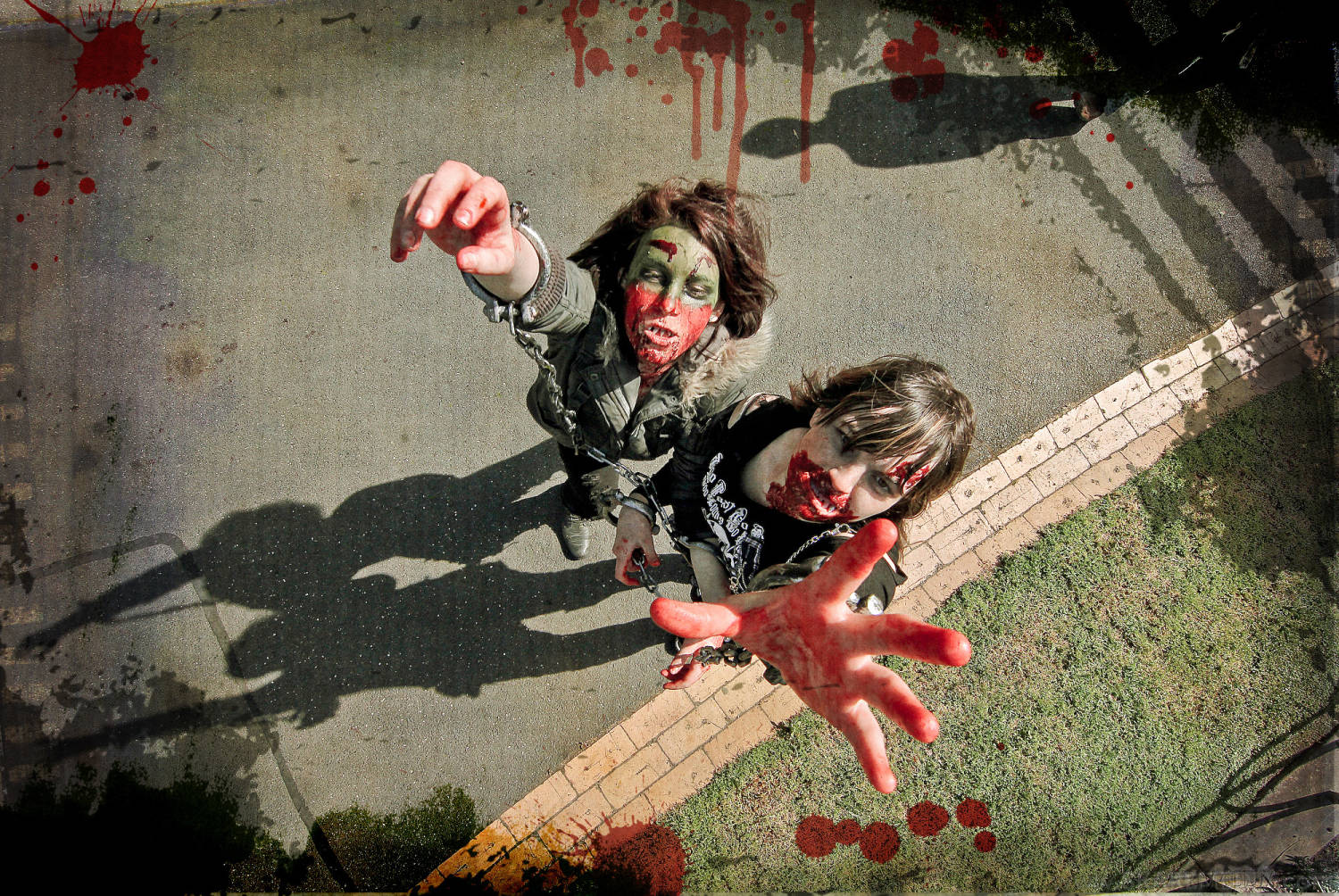 _Zombie-Shuffle-Sharpened-48