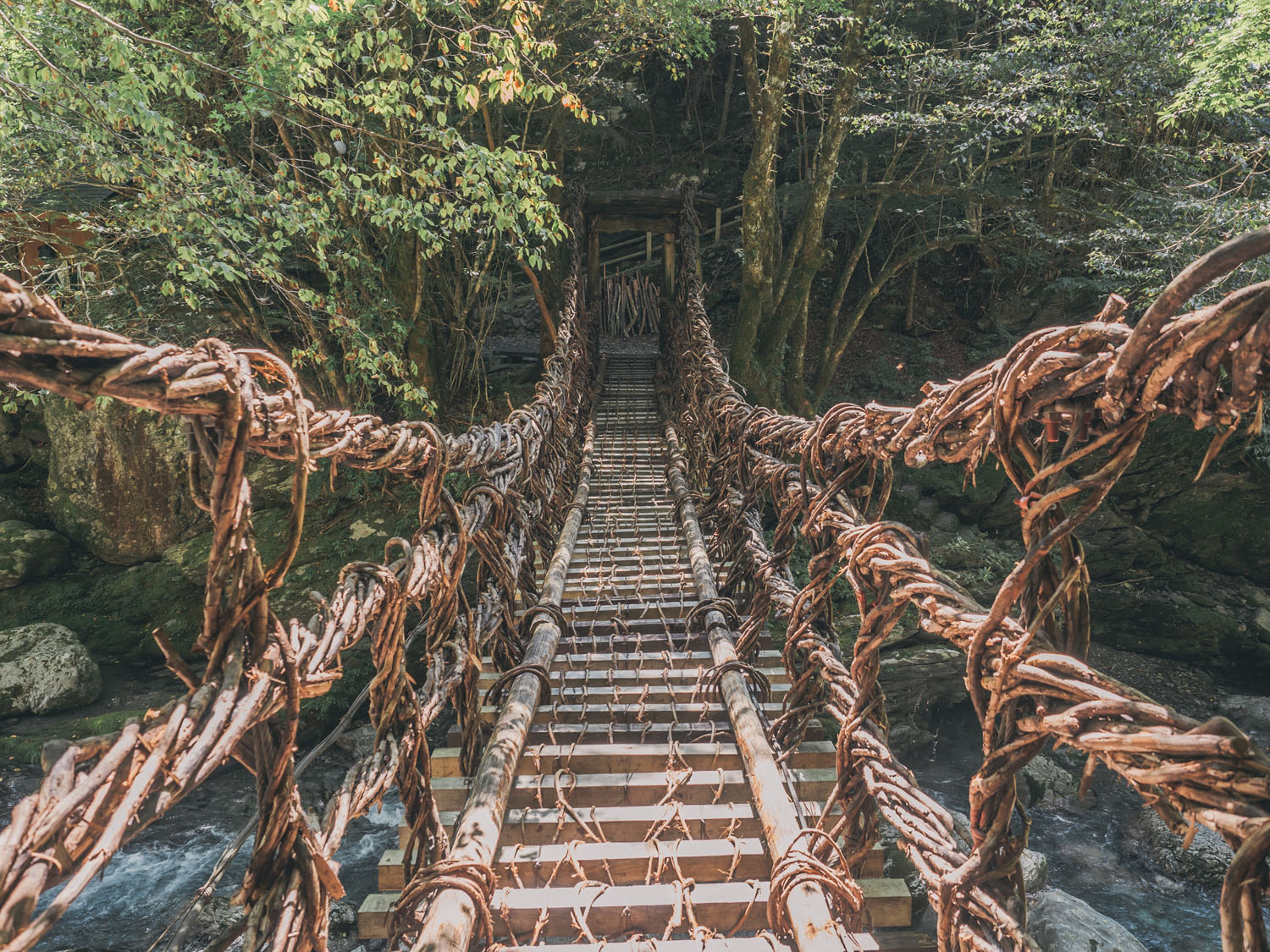 Koboke-IyaValley-15