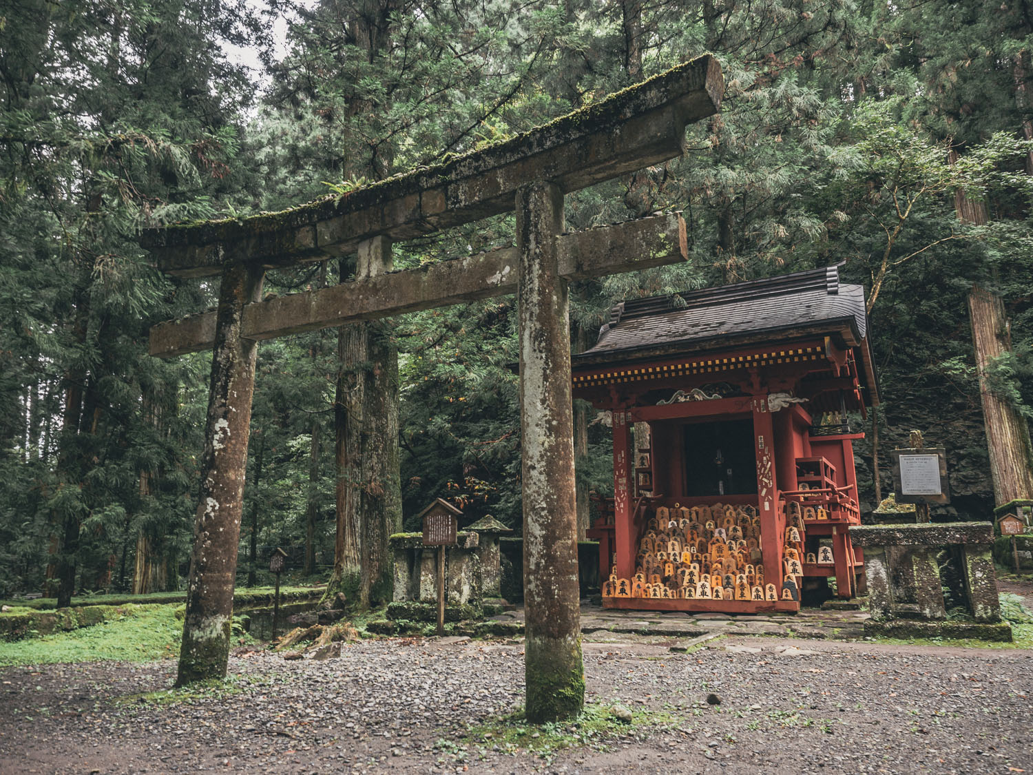 Nikko-123
