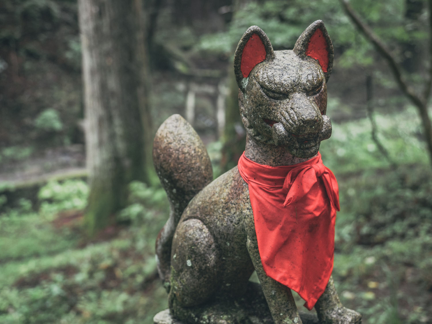 Nikko-131
