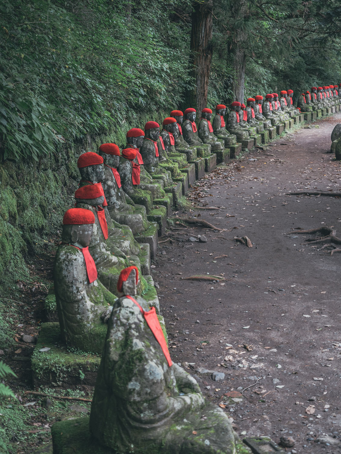 Nikko-17