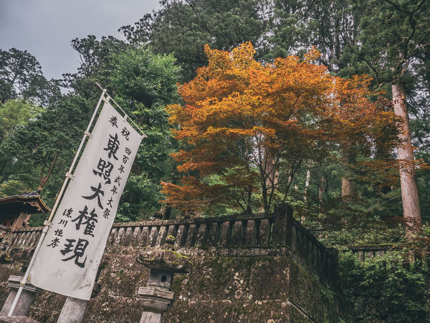 Nikko-38