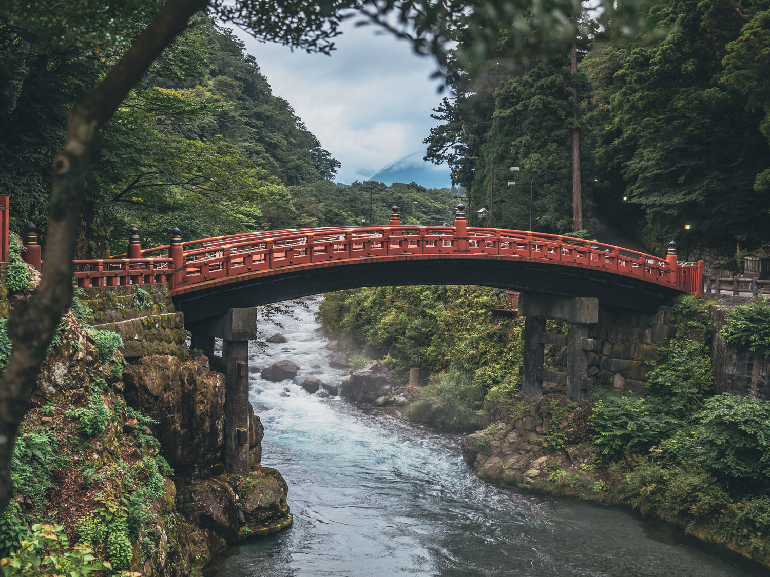 Nikko-58
