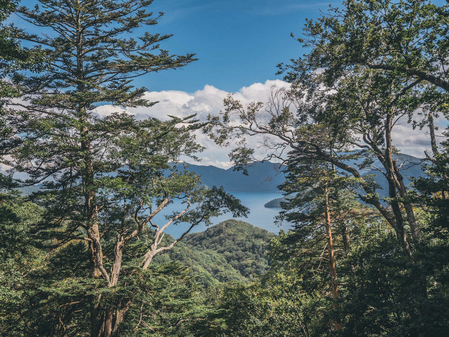 Nikko-65