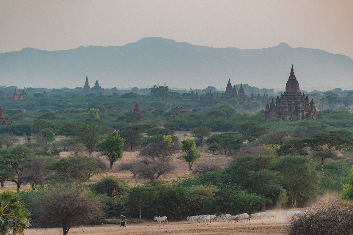 Bagan-66