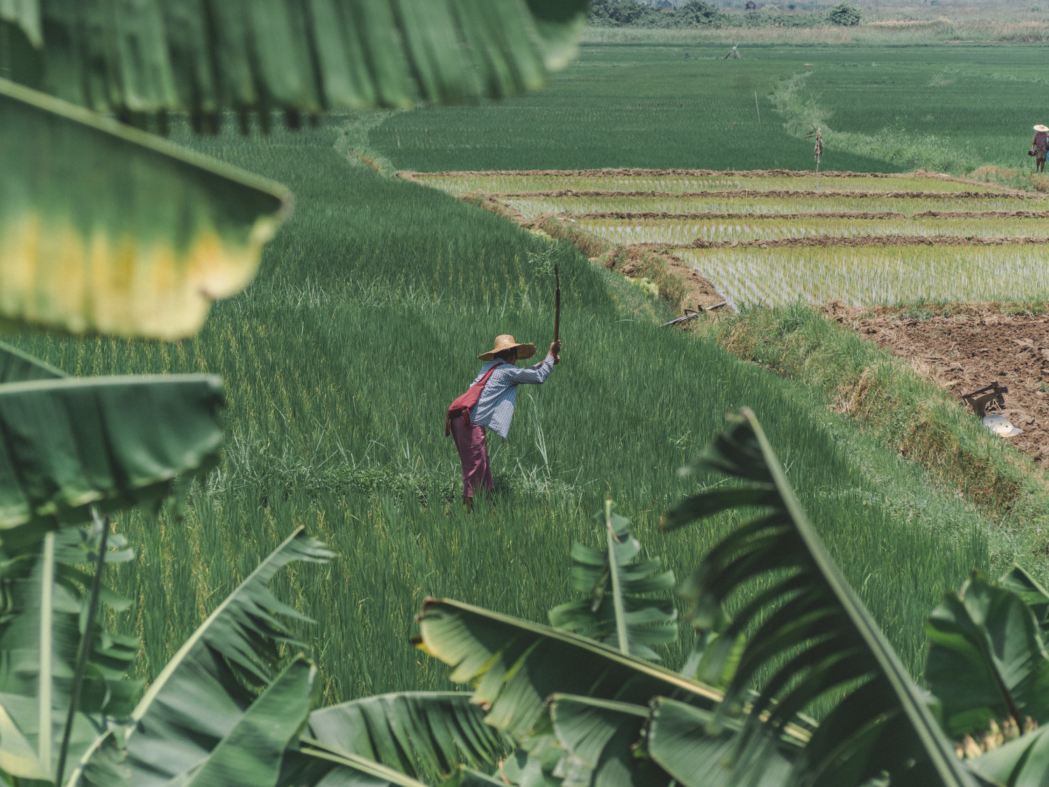 Lake_Inle-156