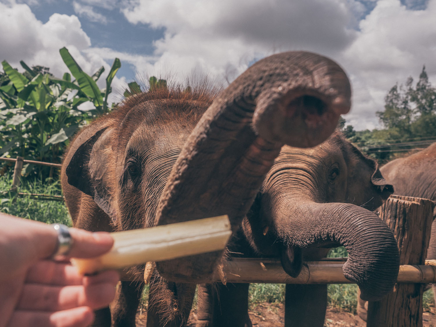 ChiangMai-20