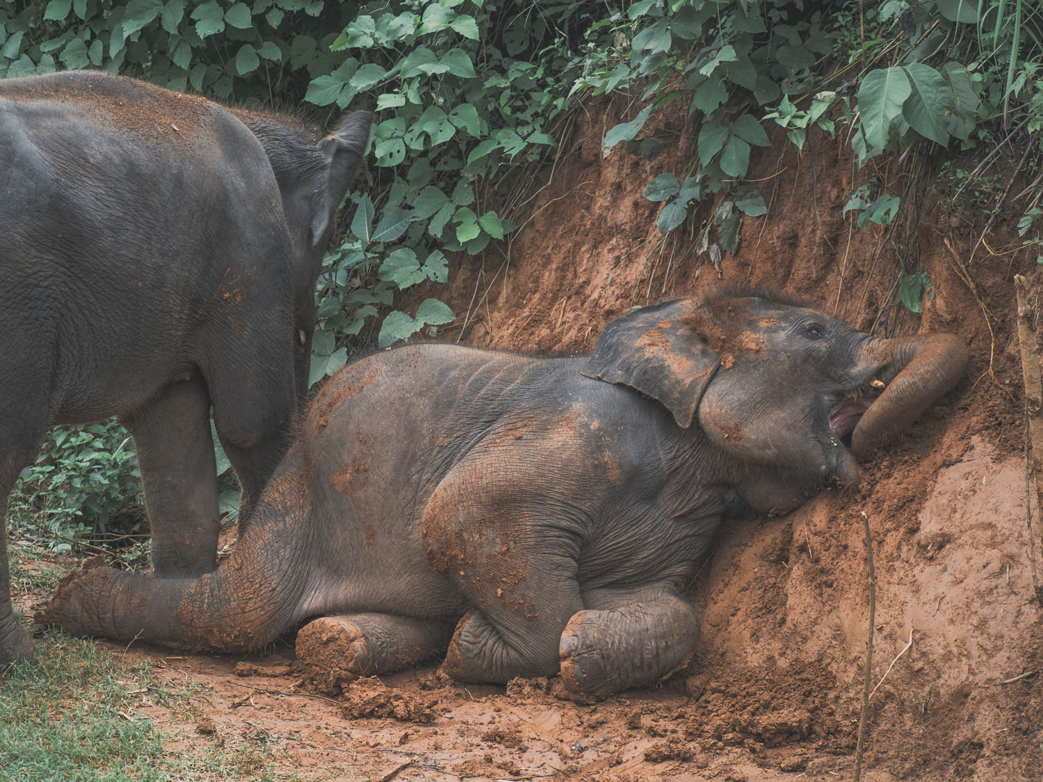 ChiangMai-75
