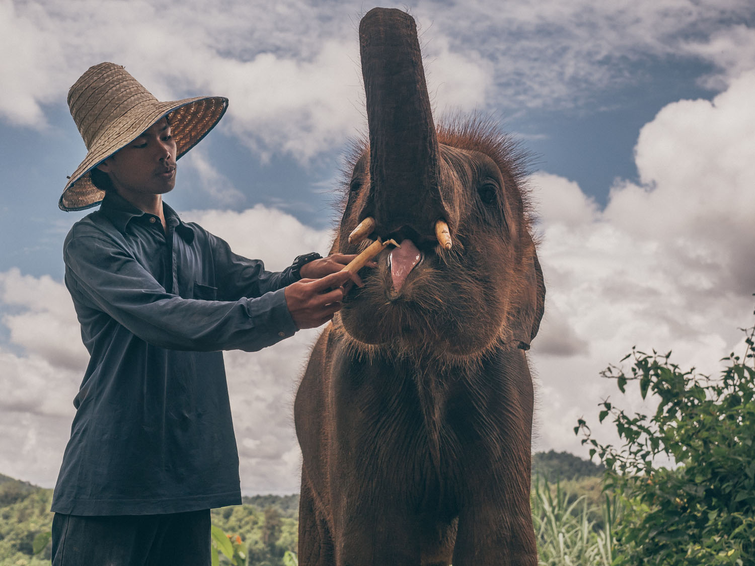 ChiangMai-86